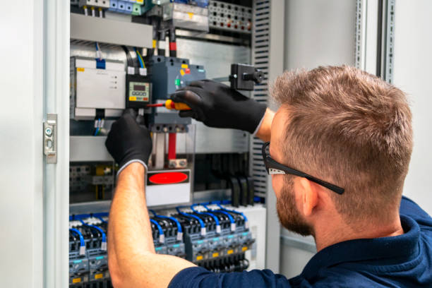 Best Electric Panel Repair  in Windsor, CO