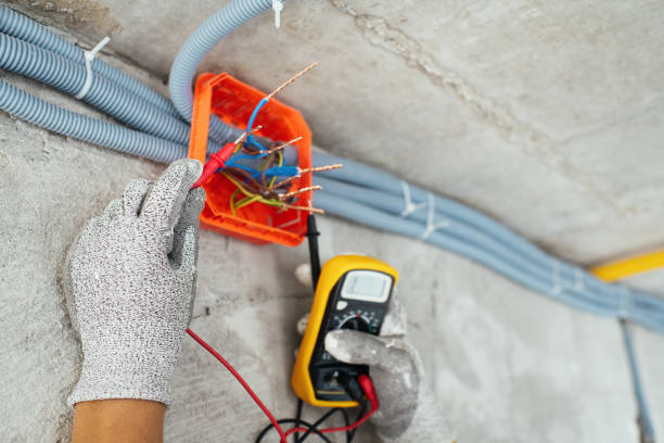 Best Ceiling Fan Installation Electrician  in Windsor, CO